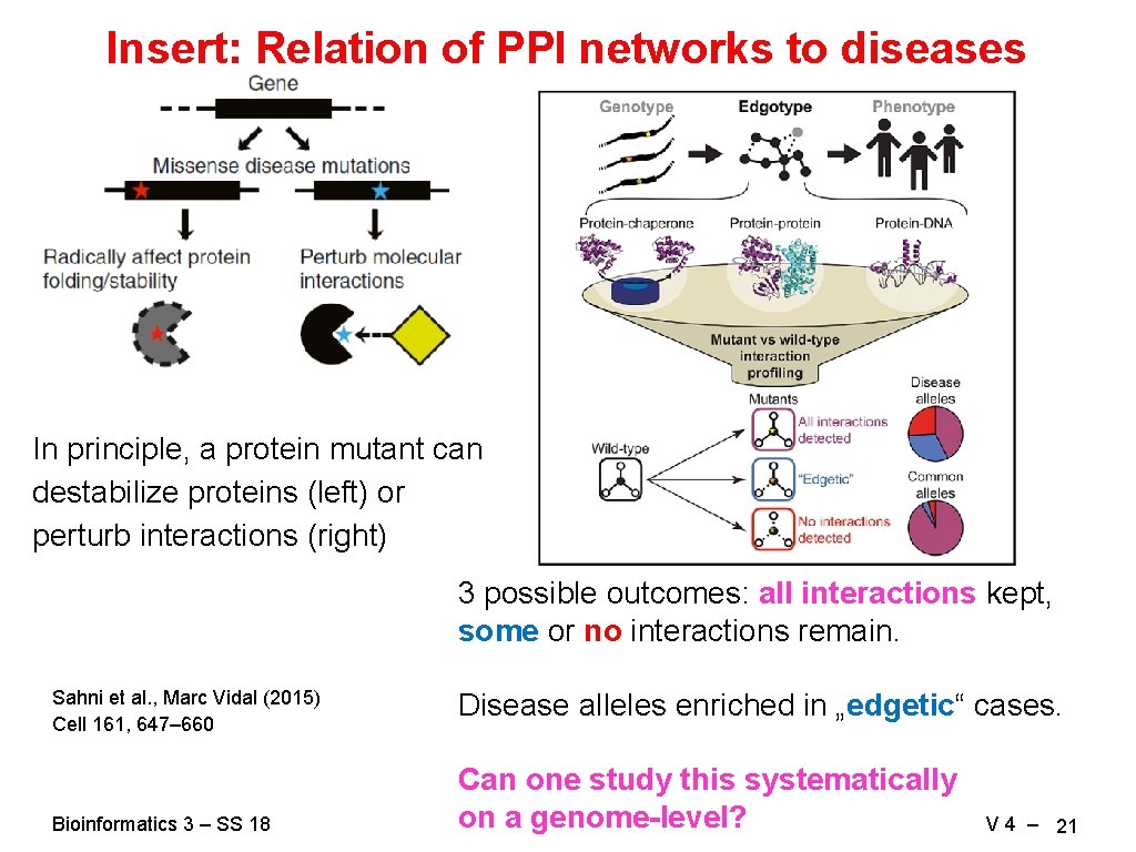 Insert: Relation of PPI networks to diseases In principle, a protein mutant can destabilize