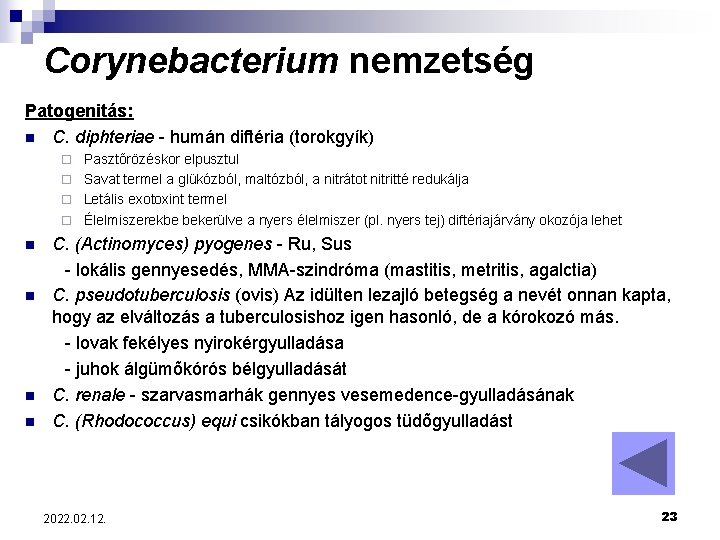 Corynebacterium nemzetség Patogenitás: n C. diphteriae - humán diftéria (torokgyík) Pasztőrözéskor elpusztul ¨ Savat