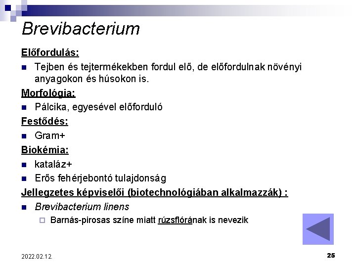 Brevibacterium Előfordulás: n Tejben és tejtermékekben fordul elő, de előfordulnak növényi anyagokon és húsokon