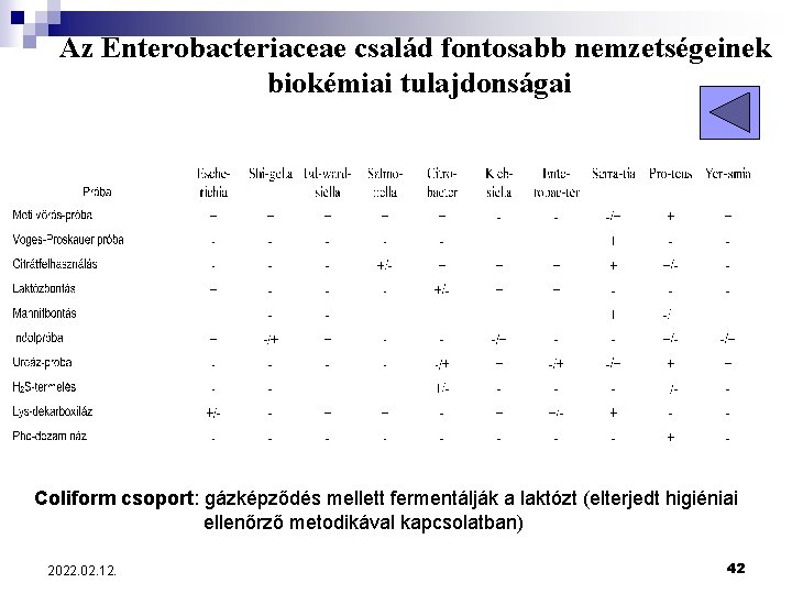 Az Enterobacteriaceae család fontosabb nemzetségeinek biokémiai tulajdonságai Coliform csoport: gázképződés mellett fermentálják a laktózt