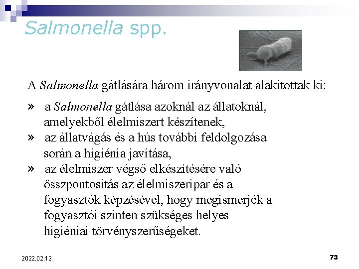 Salmonella spp. A Salmonella gátlására három irányvonalat alakítottak ki: » a Salmonella gátlása azoknál