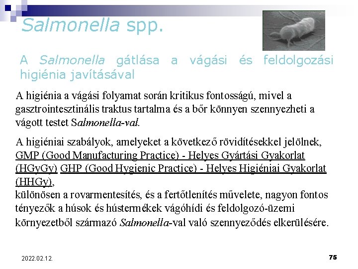 Salmonella spp. A Salmonella gátlása a vágási és feldolgozási higiénia javításával A higiénia a