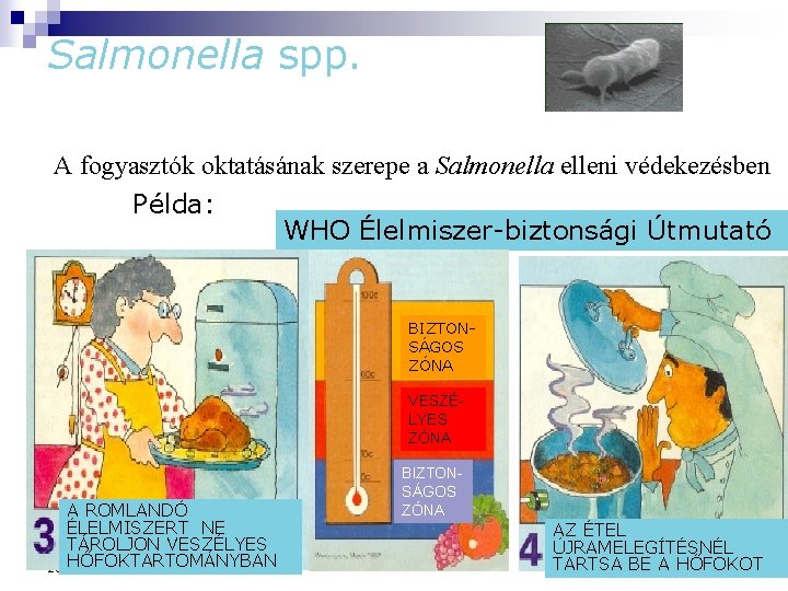 Salmonella spp. A fogyasztók oktatásának szerepe a Salmonella elleni védekezésben Példa: WHO Élelmiszer-biztonsági Útmutató