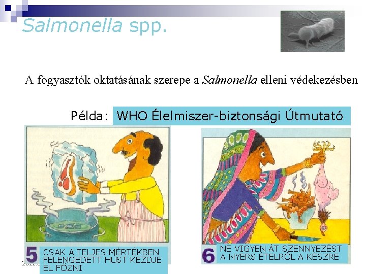 Salmonella spp. A fogyasztók oktatásának szerepe a Salmonella elleni védekezésben Példa: WHO Élelmiszer-biztonsági Útmutató