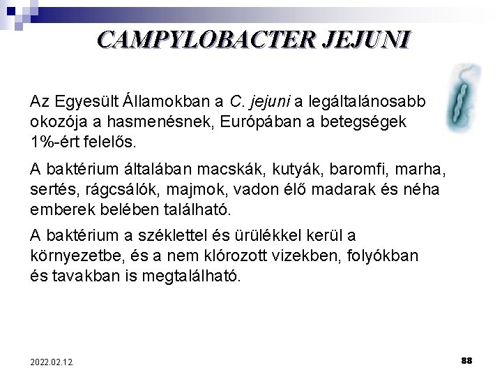 CAMPYLOBACTER JEJUNI Az Egyesült Államokban a C. jejuni a legáltalánosabb okozója a hasmenésnek, Európában