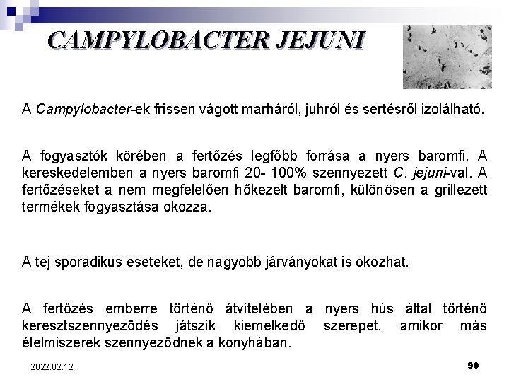 CAMPYLOBACTER JEJUNI A Campylobacter-ek frissen vágott marháról, juhról és sertésről izolálható. A fogyasztók körében