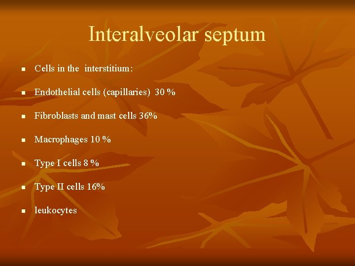 Interalveolar septum n Cells in the interstitium: n Endothelial cells (capillaries) 30 % n