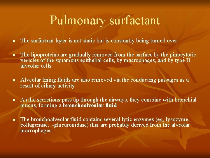 Pulmonary surfactant n n n The surfactant layer is not static but is constantly