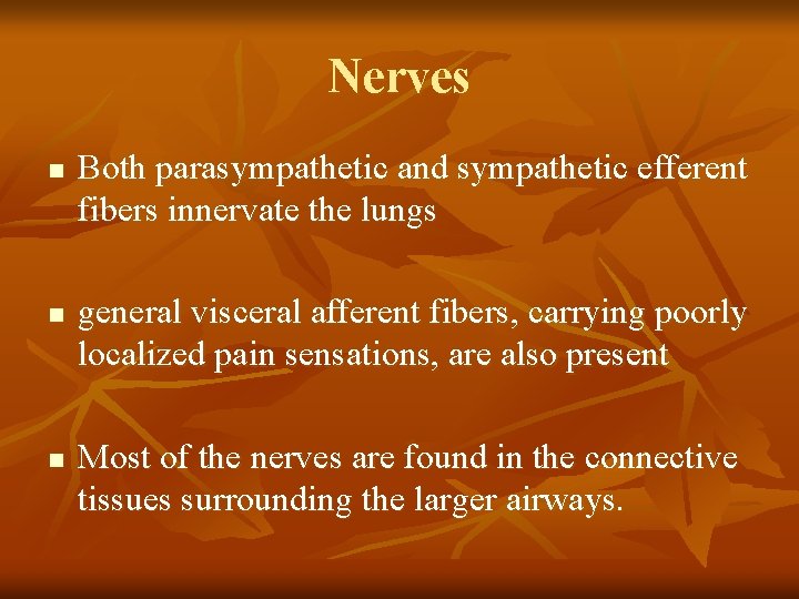 Nerves n n n Both parasympathetic and sympathetic efferent fibers innervate the lungs general