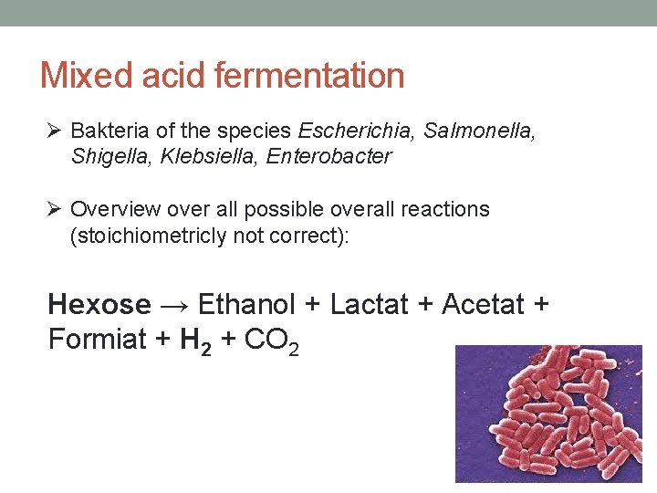 Mixed acid fermentation Ø Bakteria of the species Escherichia, Salmonella, Shigella, Klebsiella, Enterobacter Ø