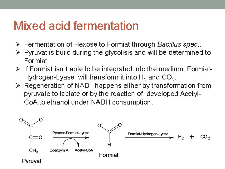 Mixed acid fermentation Ø Fermentation of Hexose to Formiat through Bacillus spec. . Ø