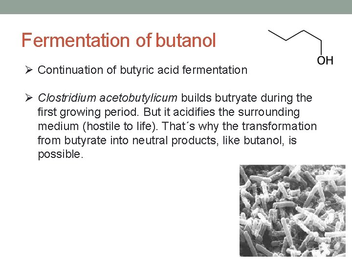 Fermentation of butanol Ø Continuation of butyric acid fermentation Ø Clostridium acetobutylicum builds butryate
