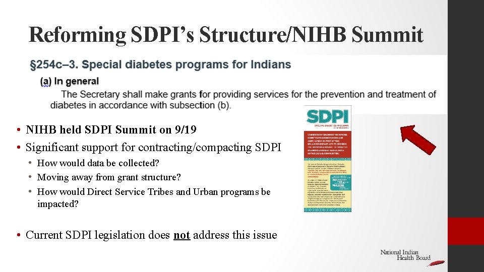 Reforming SDPI’s Structure/NIHB Summit • NIHB held SDPI Summit on 9/19 • Significant support