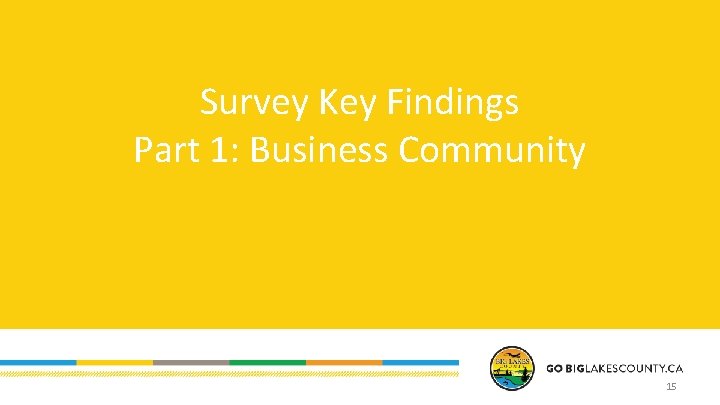 Survey Key Findings Part 1: Business Community 15 