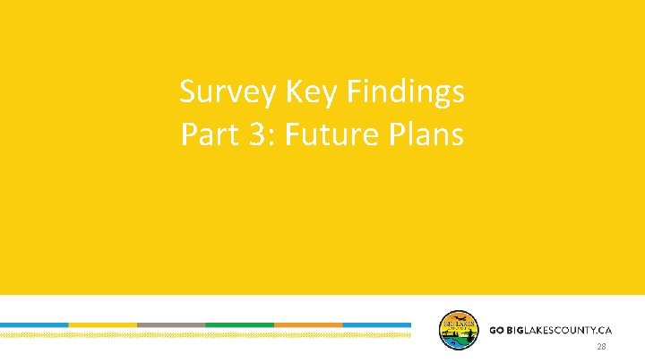 Survey Key Findings Part 3: Future Plans 28 