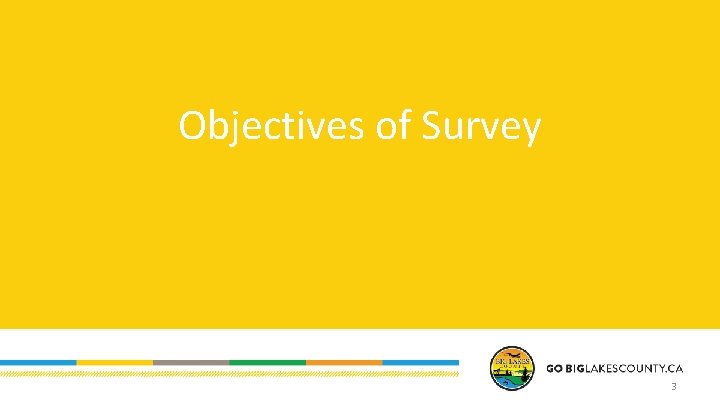 Objectives of Survey 3 