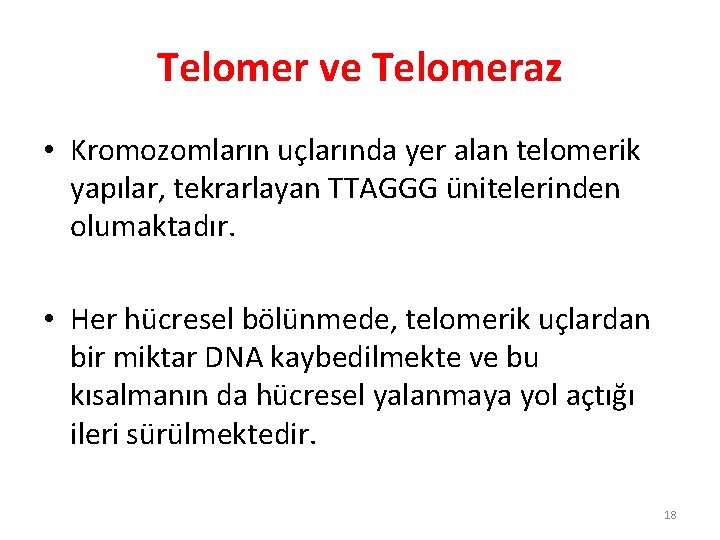 Telomer ve Telomeraz • Kromozomların uçlarında yer alan telomerik yapılar, tekrarlayan TTAGGG ünitelerinden olumaktadır.