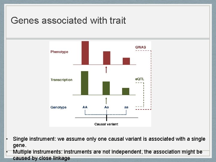 Genes associated with trait • Single instrument: we assume only one causal variant is