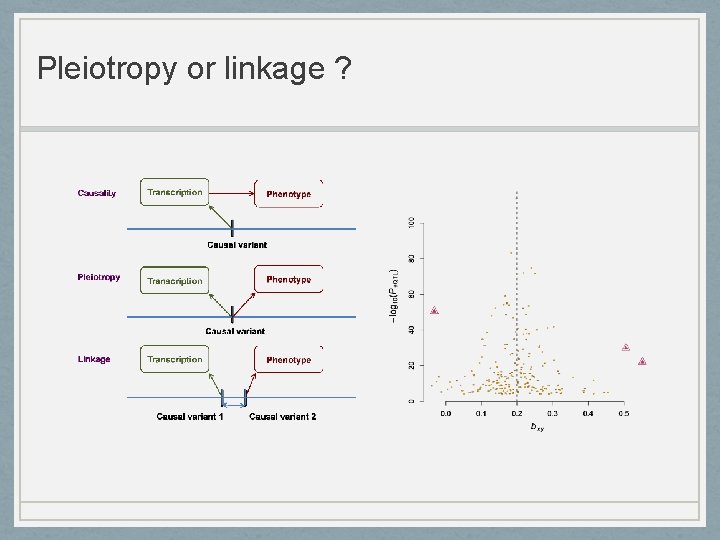 Pleiotropy or linkage ? 