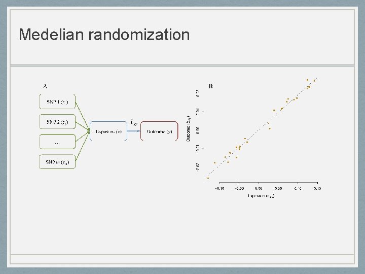 Medelian randomization 