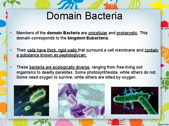 Domain Bacteria • Members of the domain Bacteria are unicellular and prokaryotic. This domain