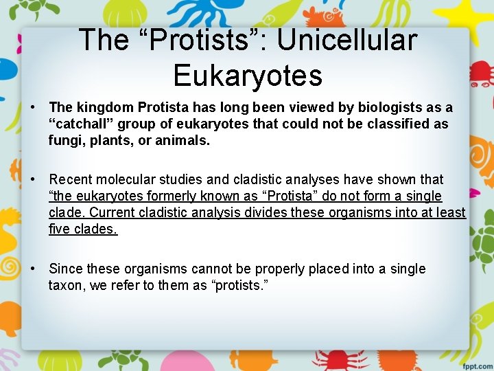 The “Protists”: Unicellular Eukaryotes • The kingdom Protista has long been viewed by biologists