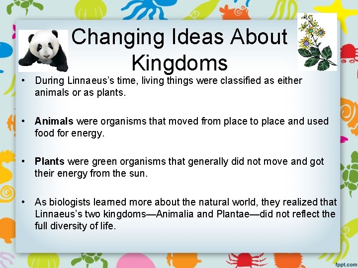 Changing Ideas About Kingdoms • During Linnaeus’s time, living things were classified as either