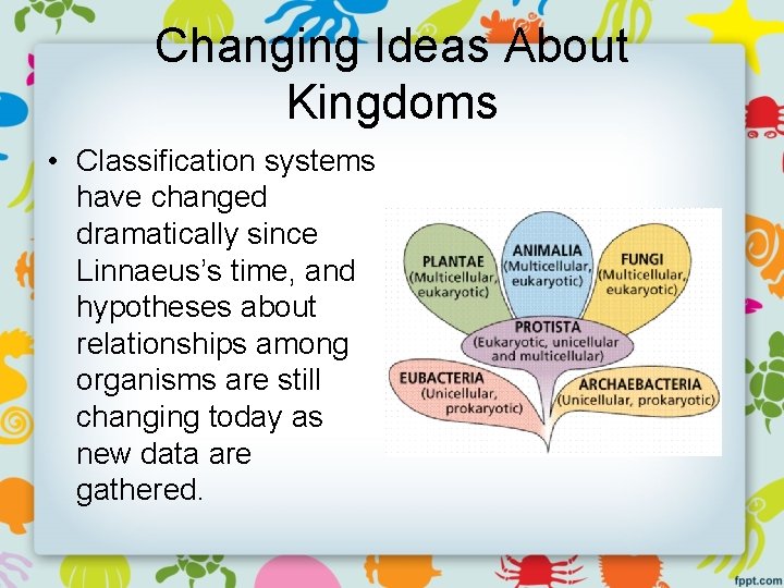 Changing Ideas About Kingdoms • Classification systems have changed dramatically since Linnaeus’s time, and