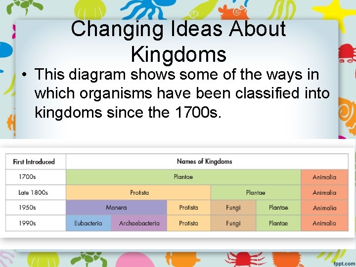 Changing Ideas About Kingdoms • This diagram shows some of the ways in which