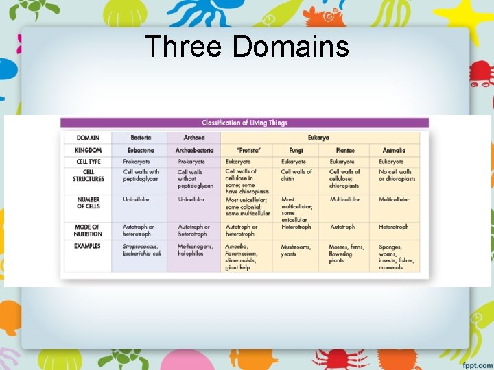 Three Domains 