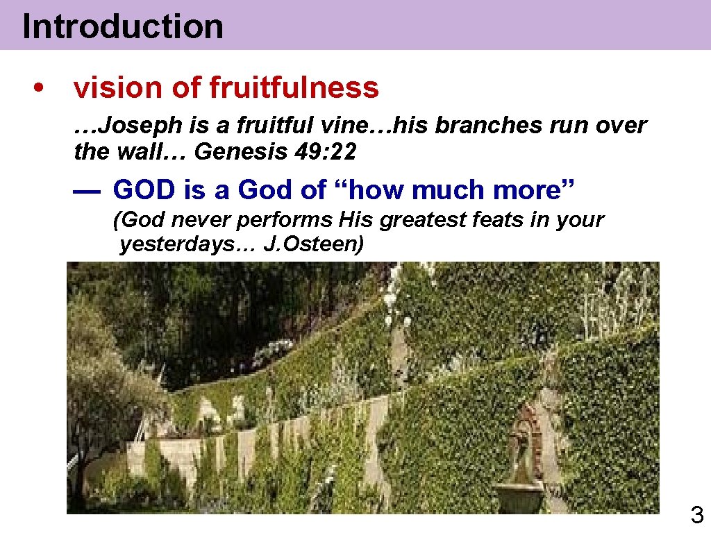 Introduction • vision of fruitfulness …Joseph is a fruitful vine…his branches run over the