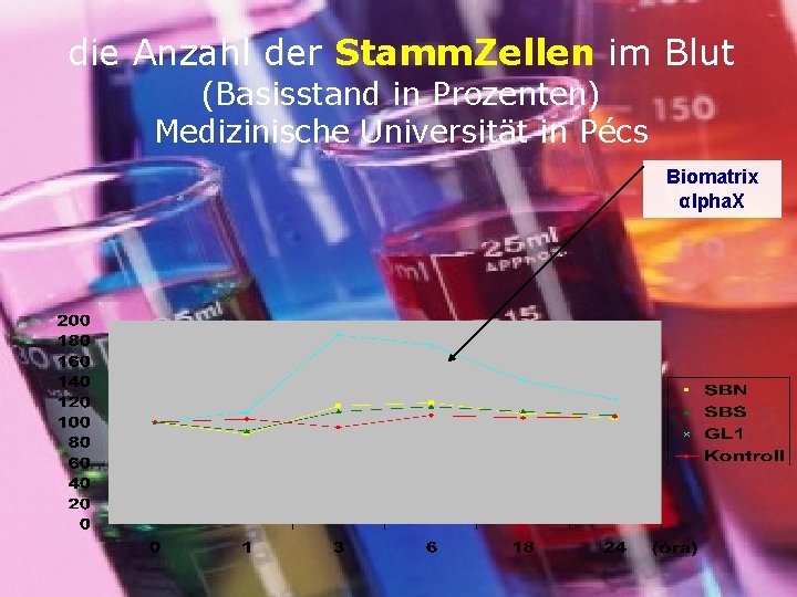 die Anzahl der Stamm. Zellen im Blut (Basisstand in Prozenten) Medizinische Universität in Pécs