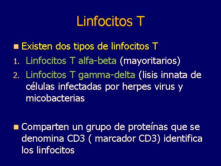 Linfocitos T n Existen dos tipos de linfocitos T 1. Linfocitos T alfa-beta (mayoritarios)