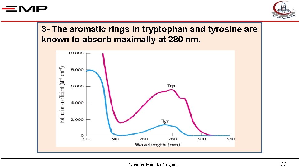 3 - The aromatic rings in tryptophan and tyrosine are known to absorb maximally