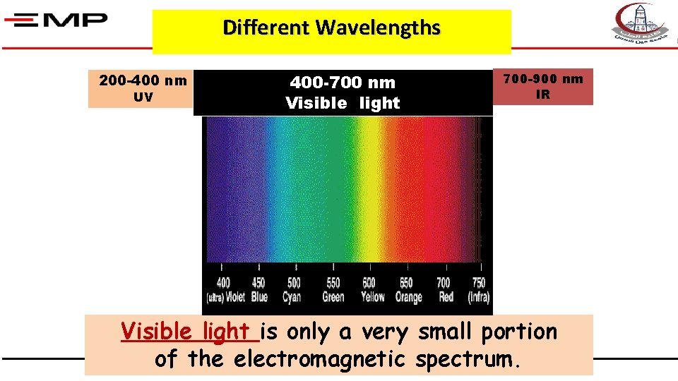 Different Wavelengths 200 -400 nm UV 400 -700 nm Visible light 700 -900 nm