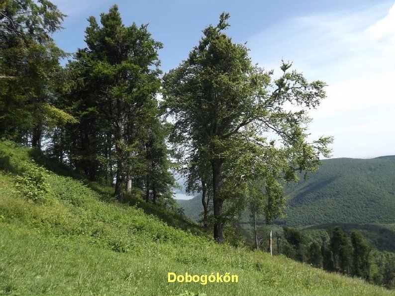 Dobogókőn 