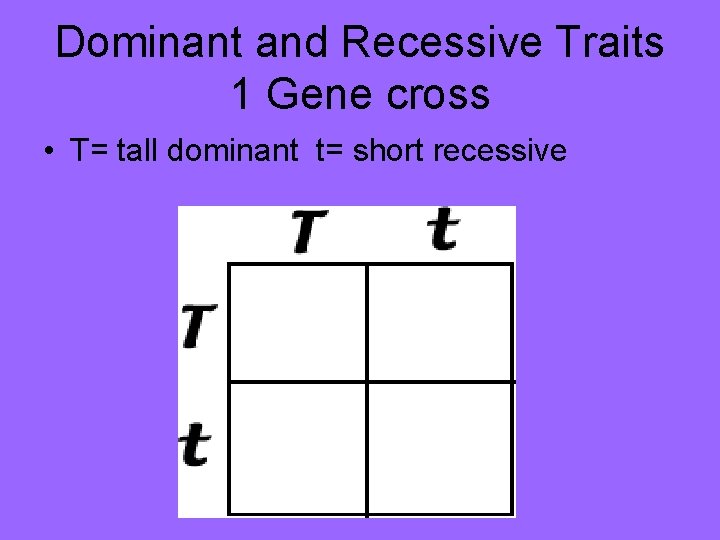 Genetics Quick Review Mitosis Formation of Body cells