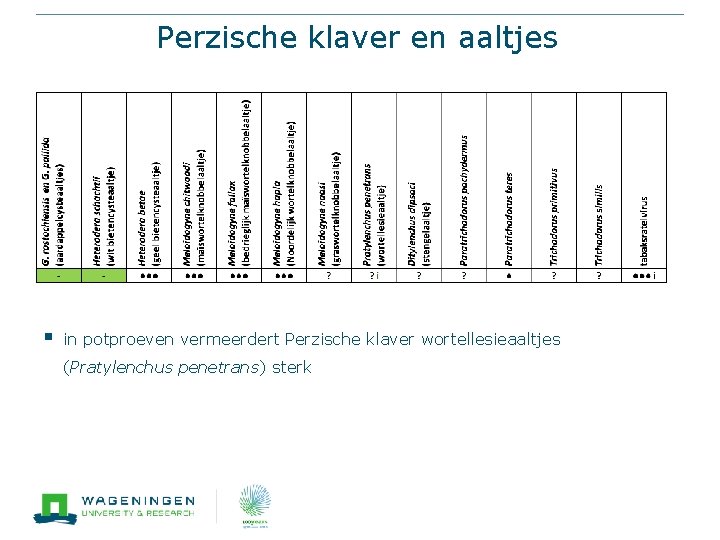 Perzische klaver en aaltjes § in potproeven vermeerdert Perzische klaver wortellesieaaltjes (Pratylenchus penetrans) sterk