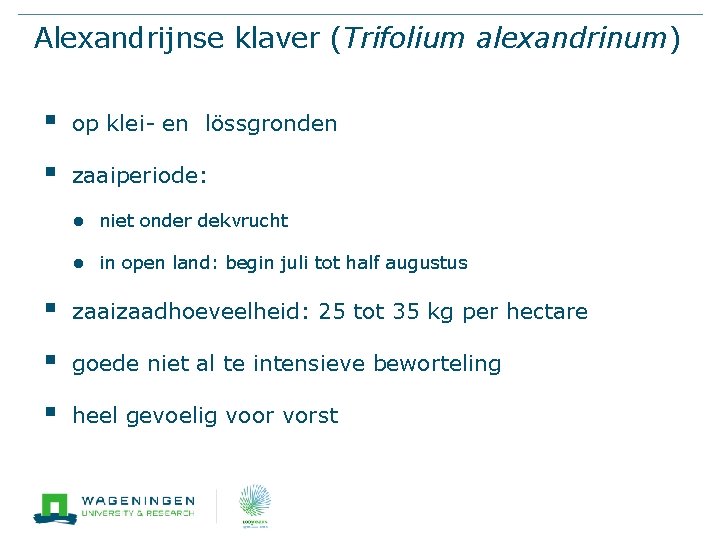 Alexandrijnse klaver (Trifolium alexandrinum) § op klei- en lössgronden § zaaiperiode: ● niet onder