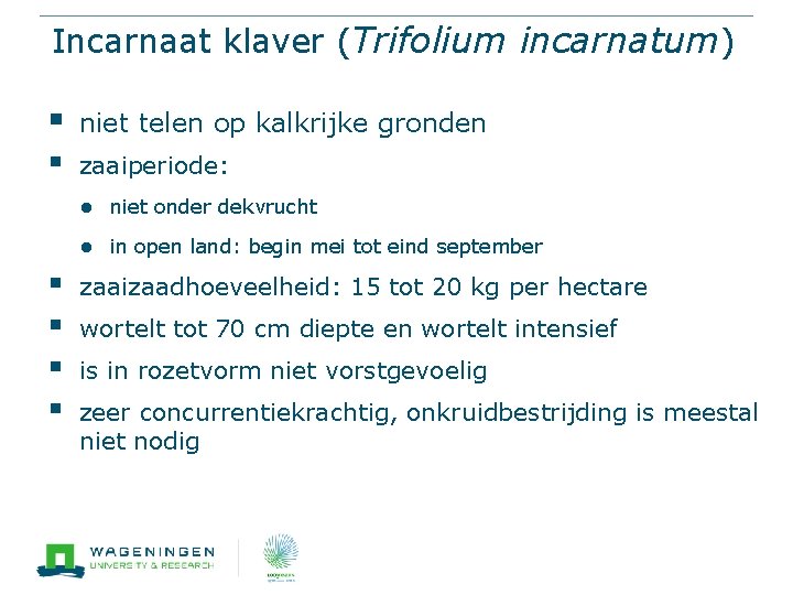 Incarnaat klaver (Trifolium incarnatum) § niet telen op kalkrijke gronden § zaaiperiode: ● niet