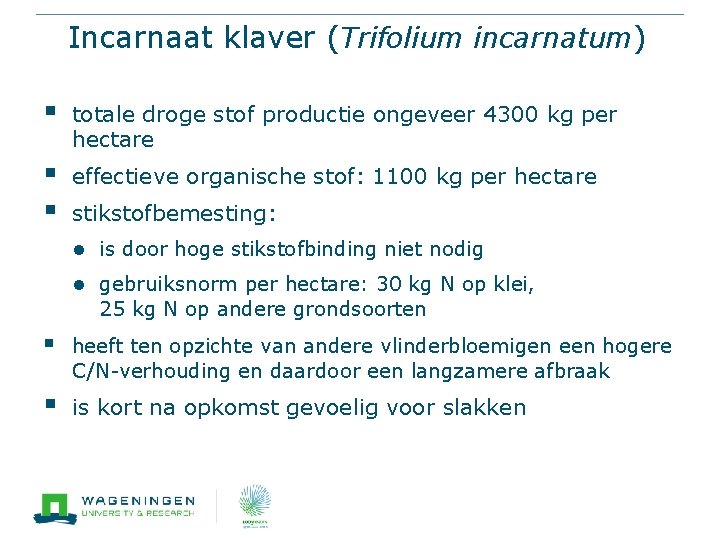 Incarnaat klaver (Trifolium incarnatum) § totale droge stof productie ongeveer 4300 kg per hectare