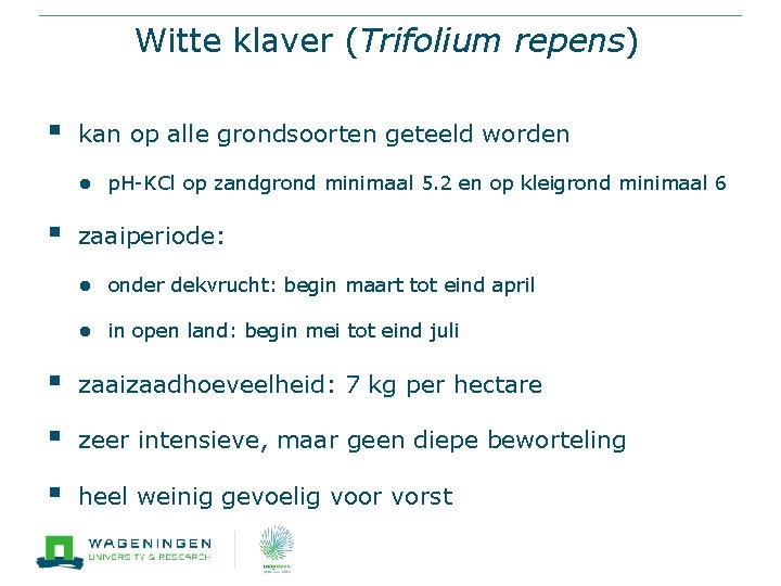 Witte klaver (Trifolium repens) § kan op alle grondsoorten geteeld worden ● p. H-KCl