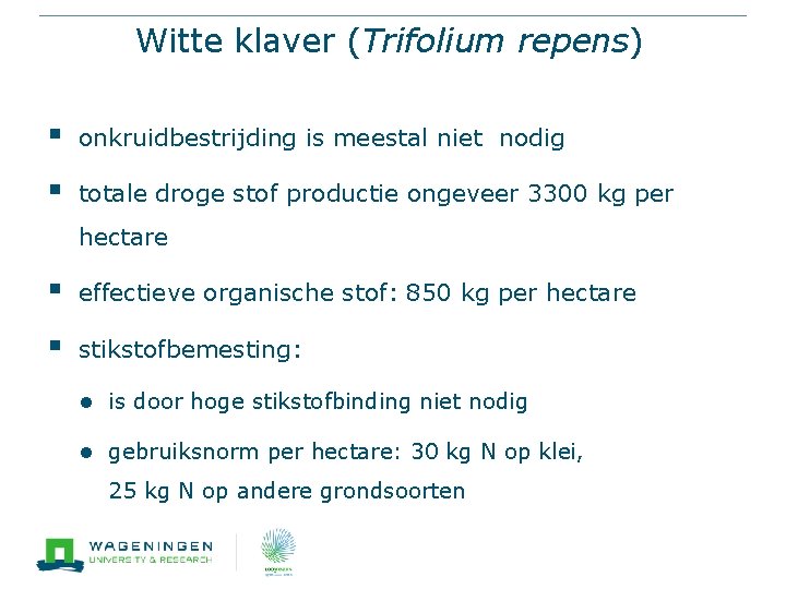 Witte klaver (Trifolium repens) § onkruidbestrijding is meestal niet nodig § totale droge stof