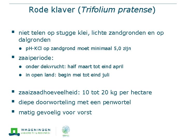 Rode klaver (Trifolium pratense) § niet telen op stugge klei, lichte zandgronden en op