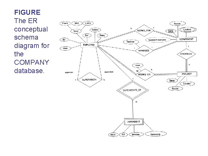 FIGURE The ER conceptual schema diagram for the COMPANY database. 