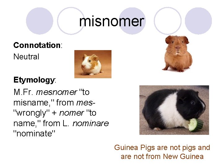 misnomer Connotation: Neutral Etymology: M. Fr. mesnomer "to misname, " from mes"wrongly" + nomer