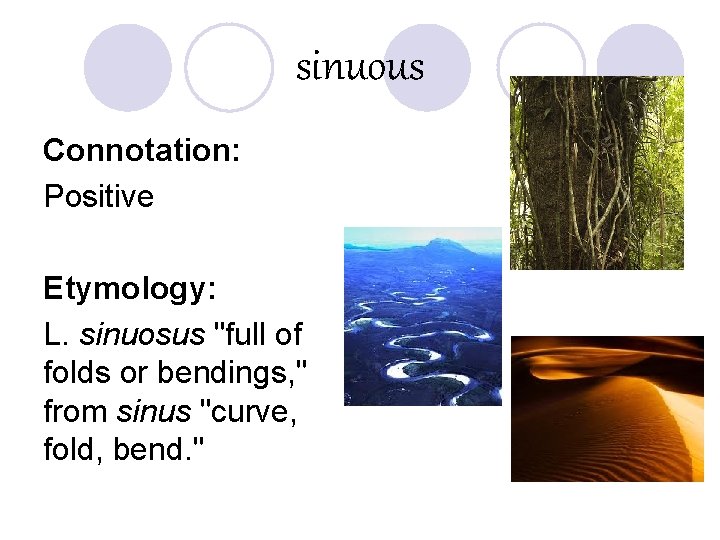 sinuous Connotation: Positive Etymology: L. sinuosus "full of folds or bendings, " from sinus