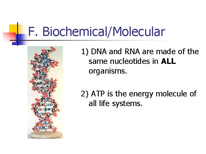F. Biochemical/Molecular 1) DNA and RNA are made of the same nucleotides in ALL F. Biochemical/Molecular 1) DNA and RNA are made of the same nucleotides in ALL