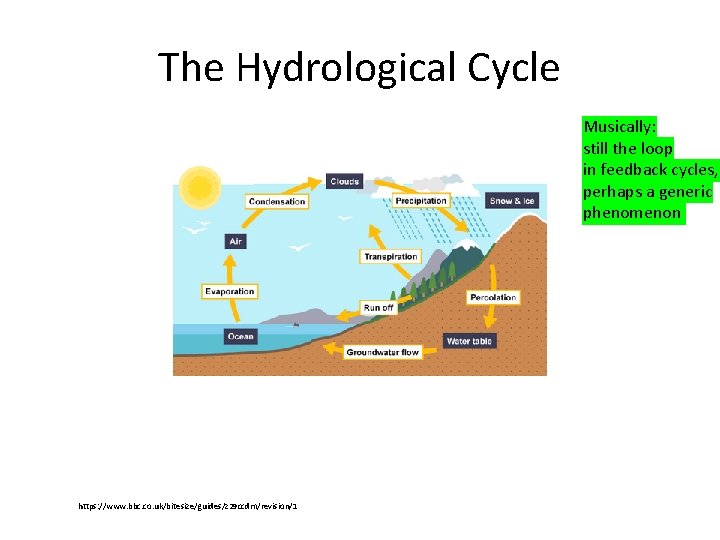 The Hydrological Cycle Musically: still the loop in feedback cycles, perhaps a generic phenomenon