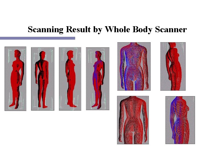 Scanning Result by Whole Body Scanner 